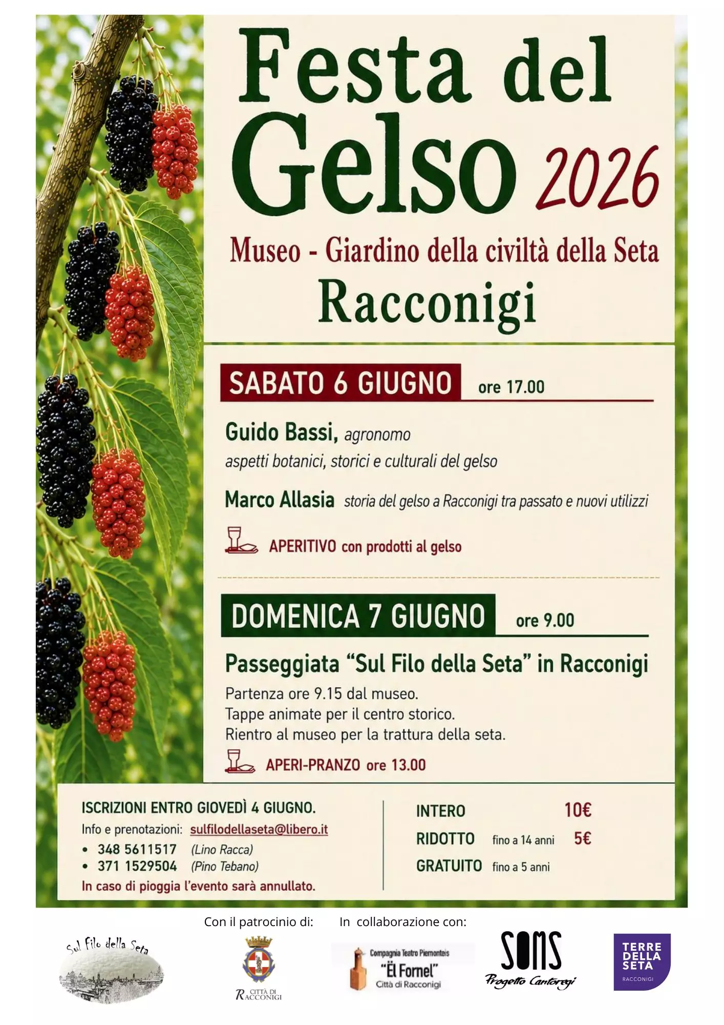gelso